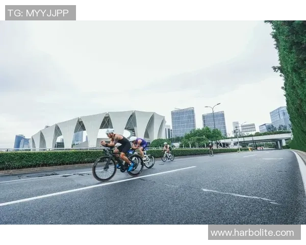 上海篮球队逆袭之路：挑战赛中的拼搏与荣耀全景回顾