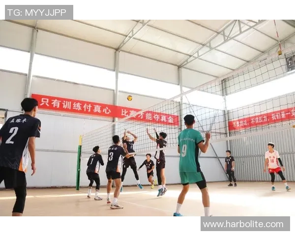 上海排球队状态分析与表现评估：数据透视与趋势解读